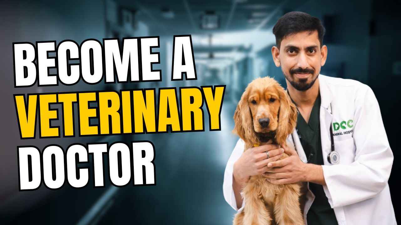 How to Become a Veterinary Doctor in India